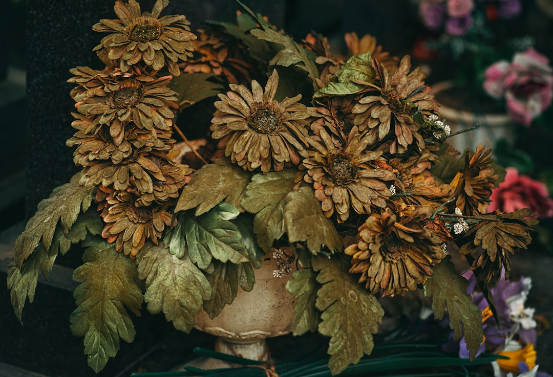 Photo cemetery, flowers